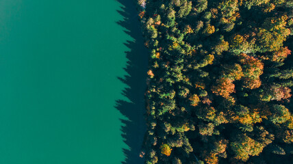 Aerial top down drone view of the fall over Saint Anne (Sfanta Ana) volcanic lake. Forest and water. Harghita, Romania, in autumn