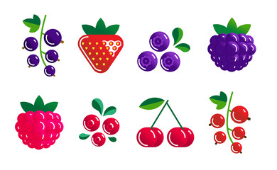 Set of ripe wild and garden berries. Vector graphic illustration isolated on white.