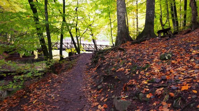 View of bridge and lake made of wood in autumn.