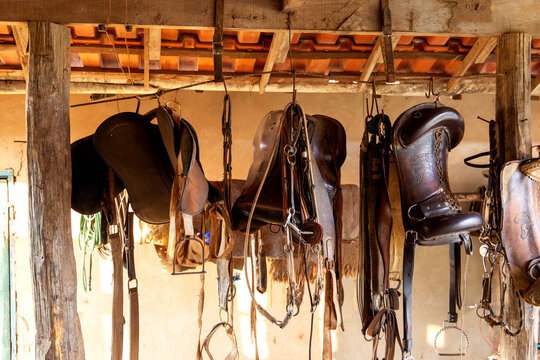 Horse cells hanging on the wall on a farm in Brazil
