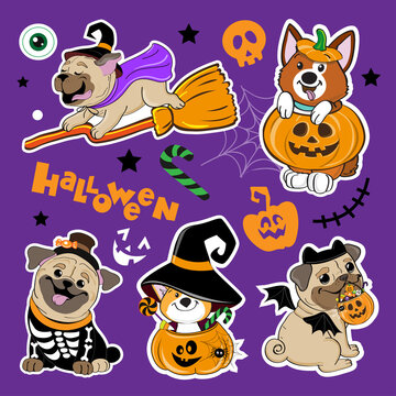 Halloween fashion patch badges with cute cartoon dogs corgi and pug dogs. Vector illustration isolated