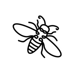 Honeybee line art illustration Bumblebee logo clip art design