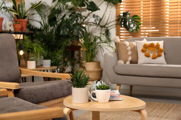 Stylish room with beautiful plants, focus on table. Interior design