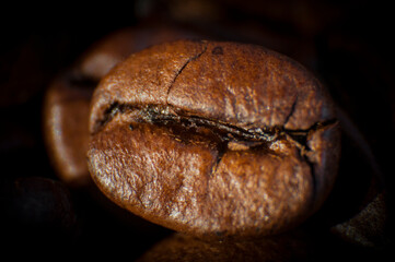 coffee grains macro