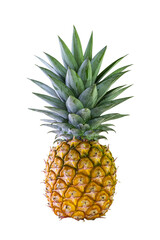 Pineapple isolated from background ripe fruit is yellow close-up white backdrop