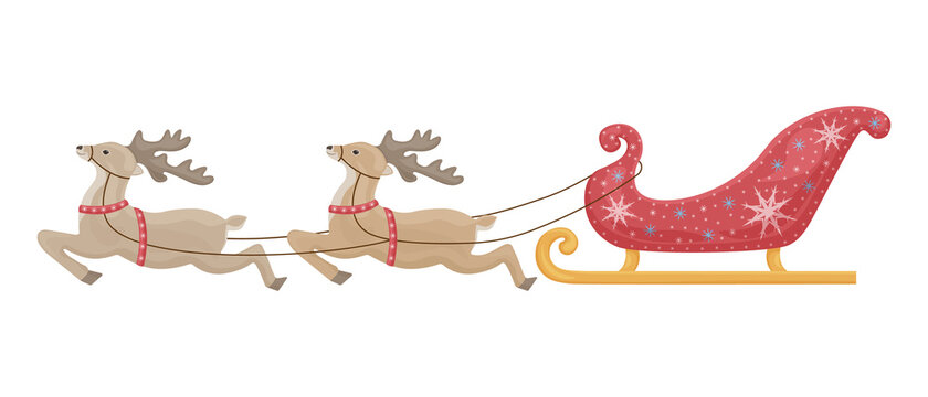 Vector illustration of Santa s reindeer harnessed to Santa Claus sleigh. New Year s red sleigh decorated with snowflakes. New Year s deer. Vector illustration isolated on a white background