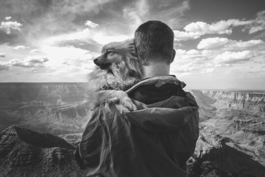 Dog and person Grand Canyon