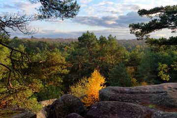 Fototapeta premium Autumn season in the Gorges of Franchard. fontainebleau forest