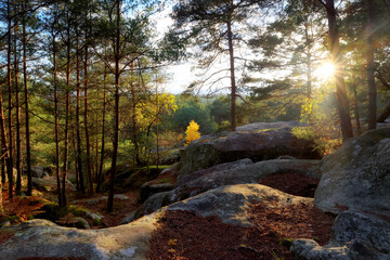 Autumn season in the Gorges of Franchard. fontainebleau forest