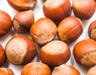 hazelnut many closeup on white background