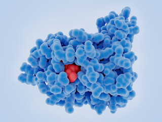 The tumor suppressor MTAP with a substrate analogue