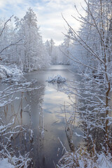 Half-frozen pond in winter surrounded by white trees covered with fresh snow.  Trees and sky reflecting in the water