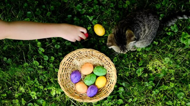 Easter Egg Hunt.Child and kitten collect Easter eggs in the spring garden. View from above. Colorful easter eggs. Easter holiday tradition.Spring religious holiday