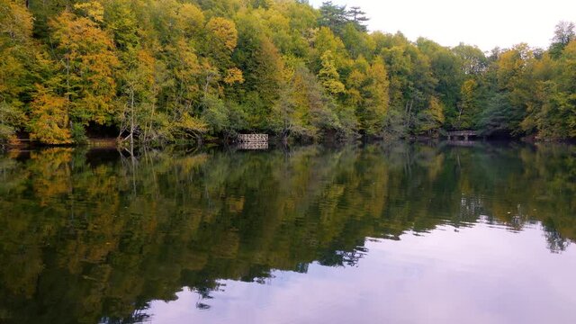 Reflection of trees with yellowed leaves in autumn in the water.
