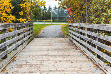 Fototapeta premium Autumn in park. Wooden bridge and trees with fallen colored leaves during fall season.