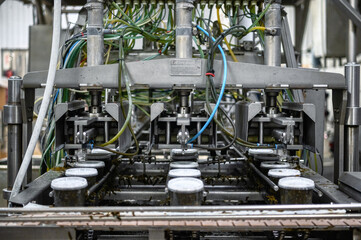 Seaweed salad in plastic jars on a conveyor belt. Automatic line for packing seafood