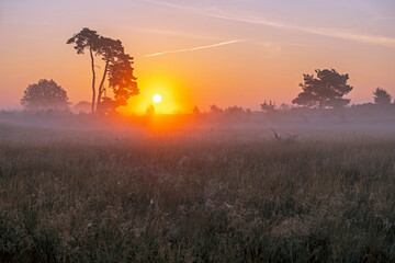 Sunrise in National Park De Hoge Veluwe in the Netherlands