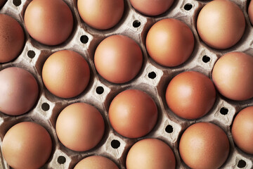 fresh eggs in a basket concept healthy food, Indian organic eggs farm