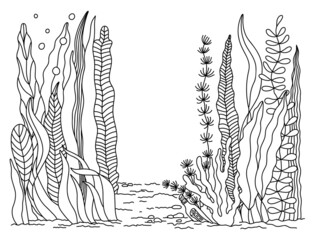 Outline Cartoon Seabed, coral reef with Seaweeds. Hand drawn Seascape. Wild Underwater world. Ocean plants, algae. Sea Life. Contour Marine vector illustration for print design, coloring book page