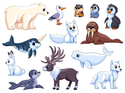 Polar animals. Antarctic mammals, isolated wildlife ocean. Funny arctic white bear, seabird, cute penguins and deer. Garish vector characters