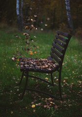 Autumn leaves fall on a chair , wooden background with apples