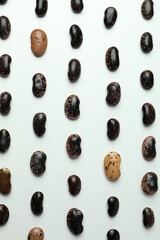 Flat lay composition with black beans on white background