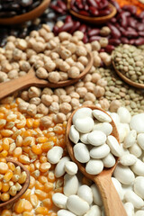 Concept of food with beans, all over background