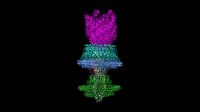 Cryo-EM structure of the flagellar motor-hook complex from Salmonella. Animated 3D cartoon and Gaussian surface models, PDB 7cgo, black background
