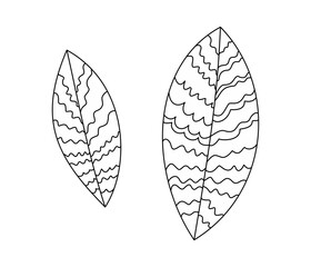 Stylized sheet. Decorative plant element.