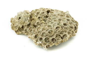 Porous lava rock isolated