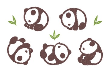 転がる赤ちゃんパンダのセット