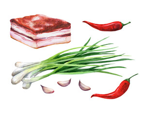 Set pork belly, red ho pepper, garlic and green onions watercolor