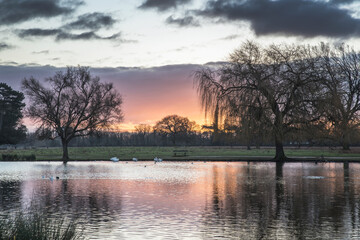 Fototapeta premium First light in January