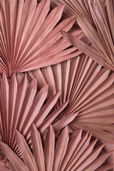 Fototapeta Dried pink tropical palm tree leaf boho style fashionable decoration background obraz