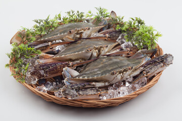 신선한 게