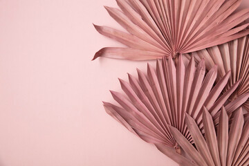Dried pink tropical palm tree leaf boho style fashionable decoration on a pastel pink background