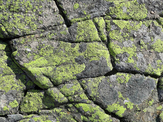Texture of large mountain stone with moss. Rock. Natural real background