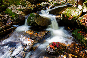 Fototapeta na wymiar Colorful Canadian creek in Mont Tremblant national park 