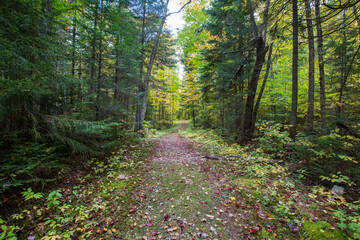 Colorful Canadian autumn in Mont Tremblant, Quebec