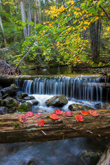 Colorful Canadian creek in Mont Tremblant national park 