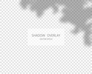 Shadow overlay effect. Natural shadows isolated on transparent background. Vector illustration. 