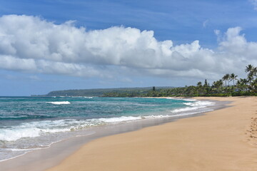 beach and sea