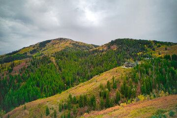 Fall Colors in Mountain Landscape