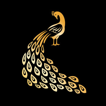 Gold Peacock Logo Images – Browse 2,829 Stock Photos, Vectors, and Video |  Adobe Stock