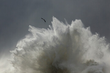 Big stormy sea wave splash