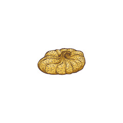 One dry fig isolated on white background. Vector hand drawn illustration of exotic fig fruit.