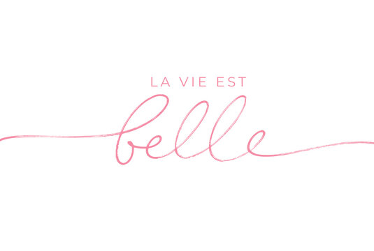 La Vie est Belle vector line lettering. Life is Beautiful in French. Black handwriting calligraphy isolated on white background. French expression, beautiful text. Modern brush calligraphy. 