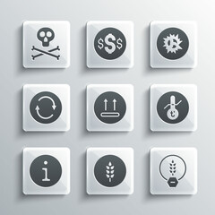 Set Wheat, Gluten free grain, Meteorology thermometer, Temperature wash, Information, Recycle symbol, Bones and skull warning and Bomb explosion icon. Vector