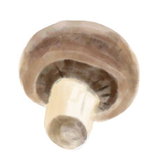 Watercolor painting of mushroom vegetable. Healthy eating lifestyle concept.