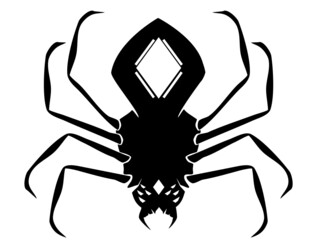 HD Spider Vector Art Illustration on Translucent Background